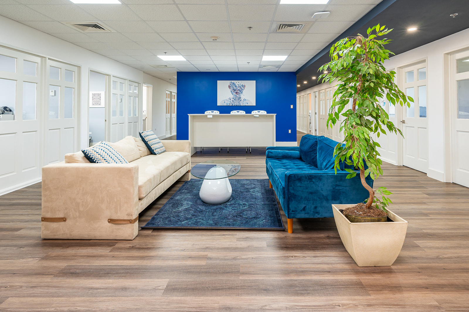 Nelsons Law Firm Commercial Photo 3 (Photo: Lexi B Photography)