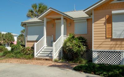 Plywood vs built-in shutters: What’s the difference?